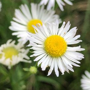 Meet your Posher, Kat